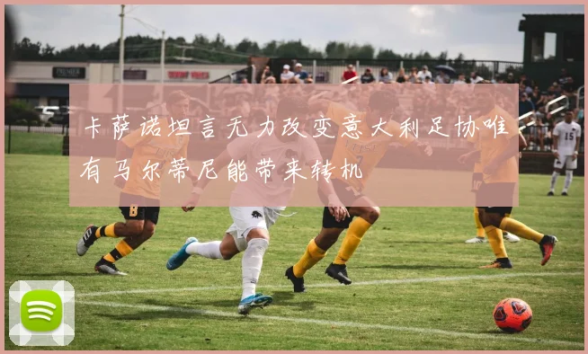 卡萨诺坦言无力改变意大利足协唯有马尔蒂尼能带来转机