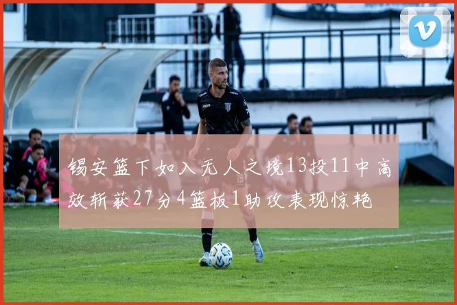 锡安篮下如入无人之境13投11中高效斩获27分4篮板1助攻表现惊艳